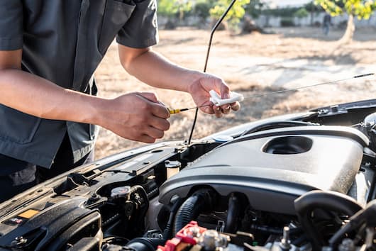 Image of a customer checking the transmission fluids of their vehicle.